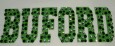 Buford bling multi